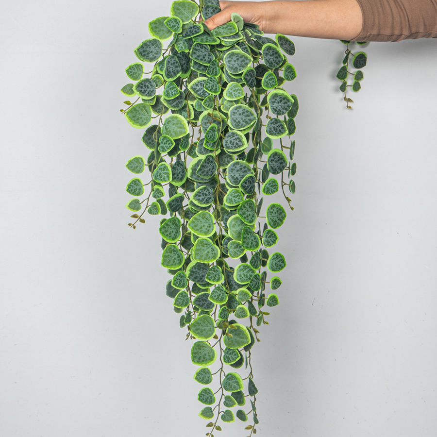 String Of Pearls Plant - 60-80 см искусственные подвесные лозы, тропические