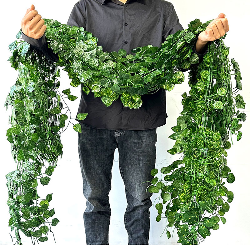 2,1 м зеленый лист плюща, подв – обзор и цена String Of Pearls Plant
