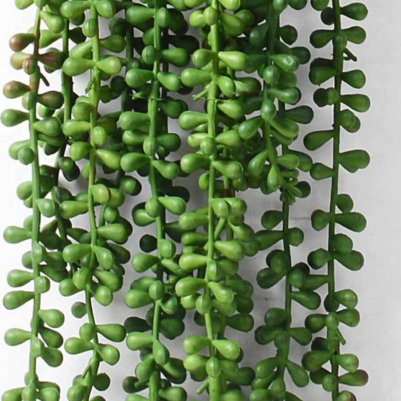 Искусственные пластиковые раст – обзор и цена String Of Pearls Plant