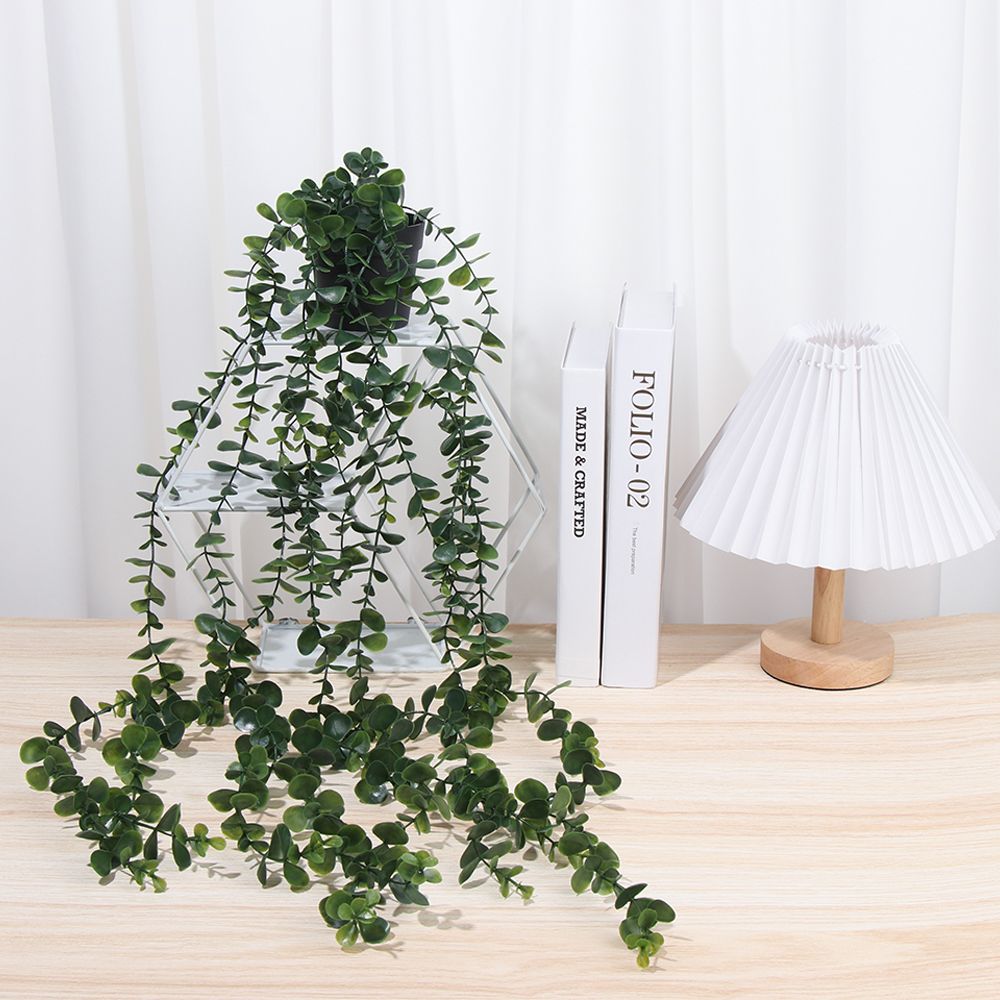 Искусственные подвесные растен – обзор и цена String Of Pearls Plant