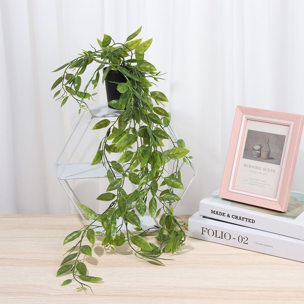 Искусственные подвесные растен – обзор и цена String Of Pearls Plant