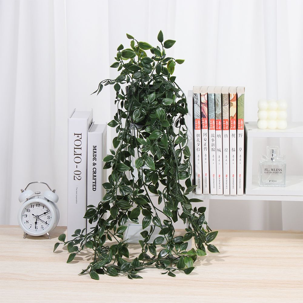 Искусственные подвесные растен – обзор и цена String Of Pearls Plant