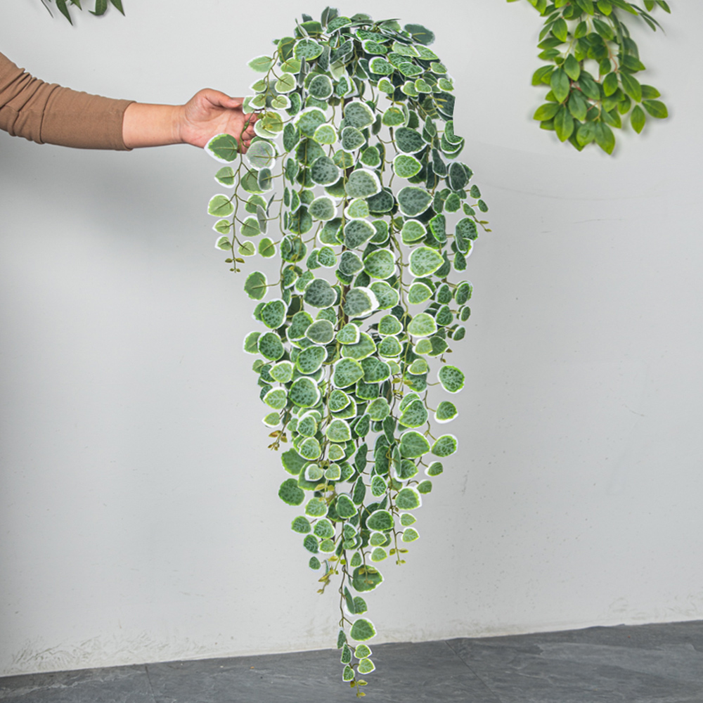 60-80 см искусственные подвесн – обзор и цена String Of Pearls Plant