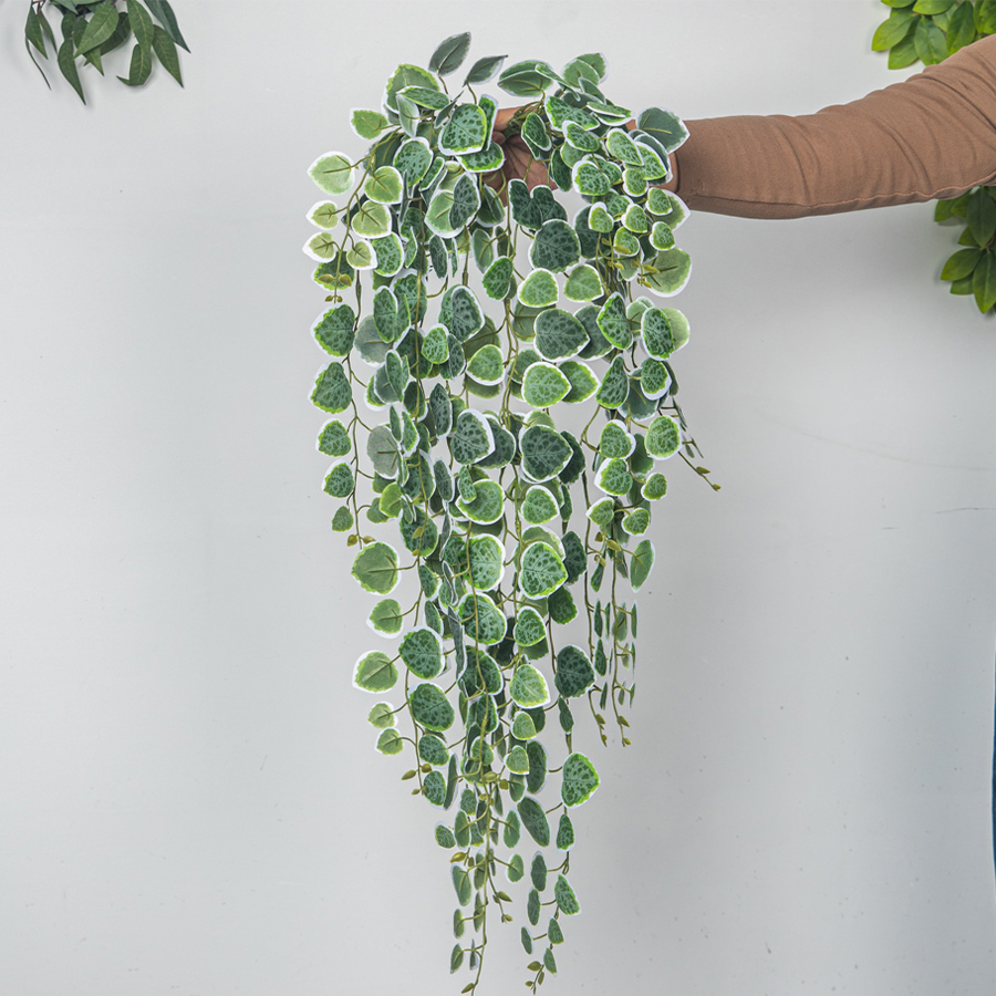 60-80 см искусственные подвесн – обзор и цена String Of Pearls Plant