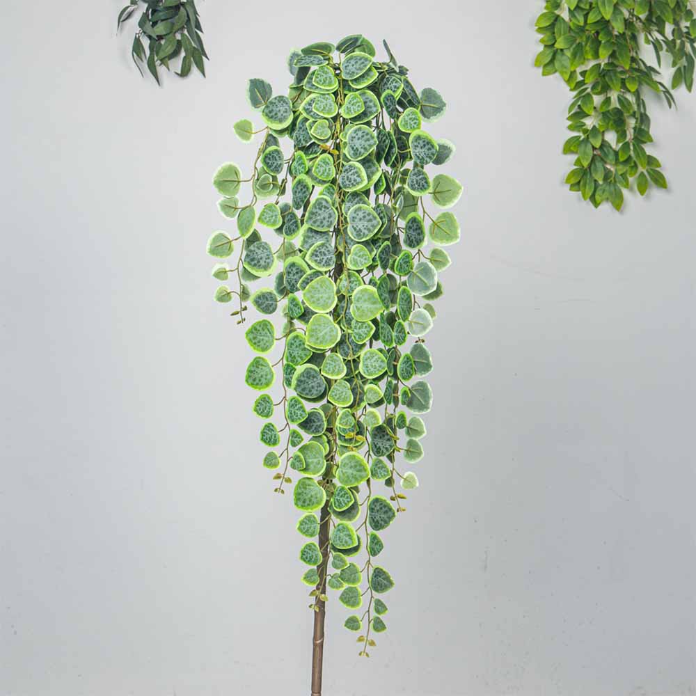 60-80 см искусственные подвесн – обзор и цена String Of Pearls Plant