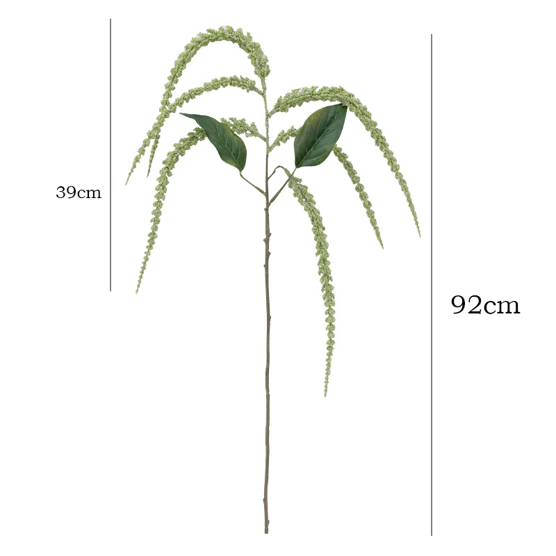 Искусственные гирлянды из жемч – обзор и цена String Of Pearls Plant