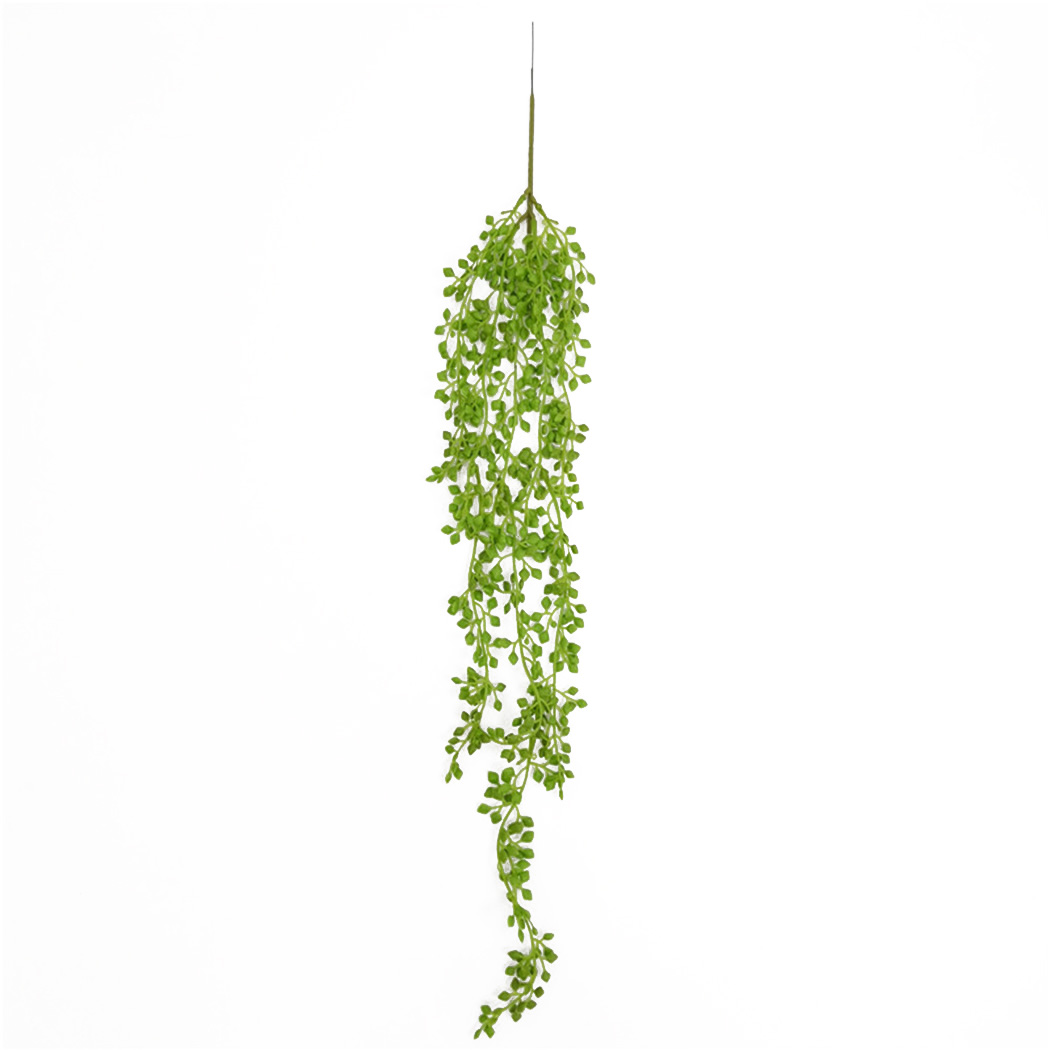 Искусственные растения, лозы,  – обзор и цена String Of Pearls Plant