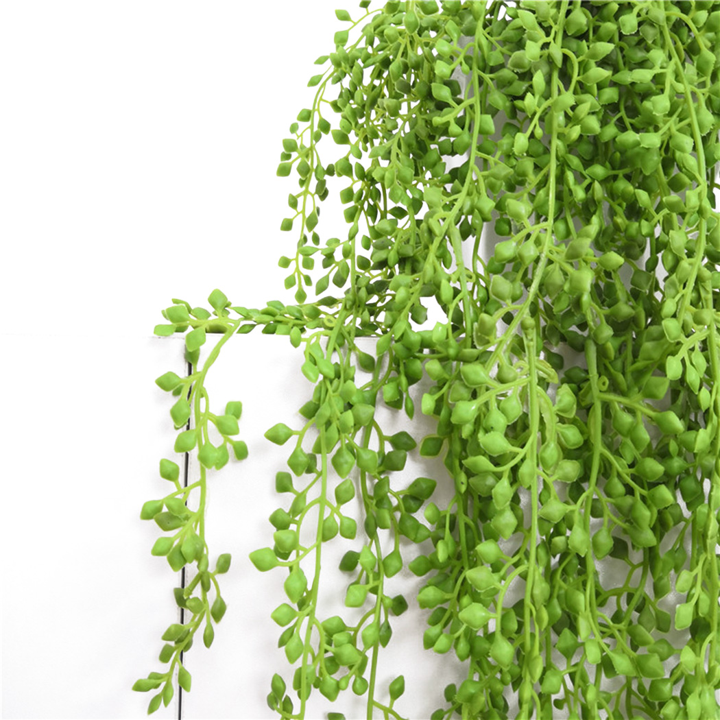 Искусственные растения, лозы,  – обзор и цена String Of Pearls Plant